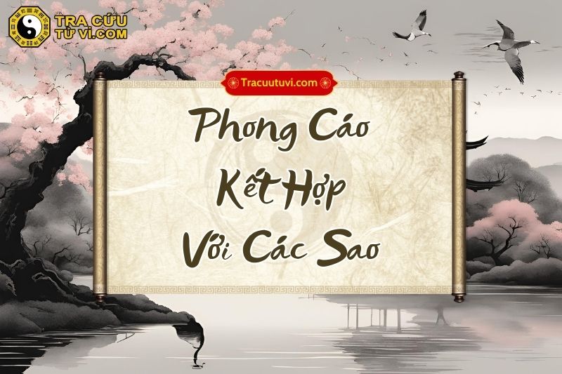 Ý nghĩa sao Phong Cáo khi kết hợp với các sao khác trên lá số tử vi Ý nghĩa sao Phong Cáo khi kết hợp với các sao khác trên lá số tử vi