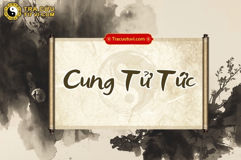 Cung Tử Tức trong tử vi chủ về vấn đề sinh nở con cái, tình cảm gia đình Cung Tử Tức trong tử vi chủ về vấn đề sinh nở con cái, tình cảm gia đình