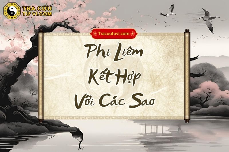 Ý nghĩa sao Phi Liêm khi kết hợp với các sao Ý nghĩa sao Phi Liêm khi kết hợp với các sao