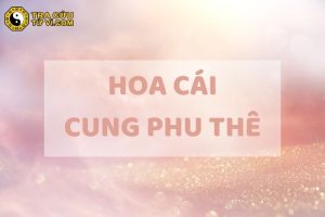 Sao Hoa Cái cung Phu Thê mang ý nghĩa gì? Luận giải chi tiết