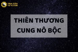 Ý Nghĩa Thiên Thương Cung Nô Bộc Là Gì? Luận Giải Chi Tiết