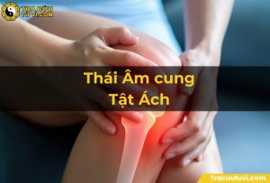 Thái Âm cung Tật Ách là trường hợp sao chính tinh Thái Âm tọa thủ trong cung Tật Ách, chủ về bệnh tật liên quan đến hệ mắt, thần kinh.