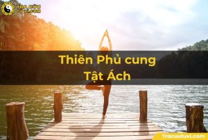 Thiên Phủ cung Tật Ách là trường hợp sao chính tinh Thiên Phủ tọa thủ trong cung Tật Ách chủ về khả năng giải trừ tai ách giúp cải thiện tình trạng sức khỏe.