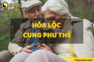 Hóa Lộc cung Phu Thê là gì? Luận giải chi tiết ý nghĩa khi kết hợp với các sao khác