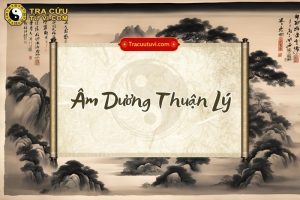 Âm dương thuận lý