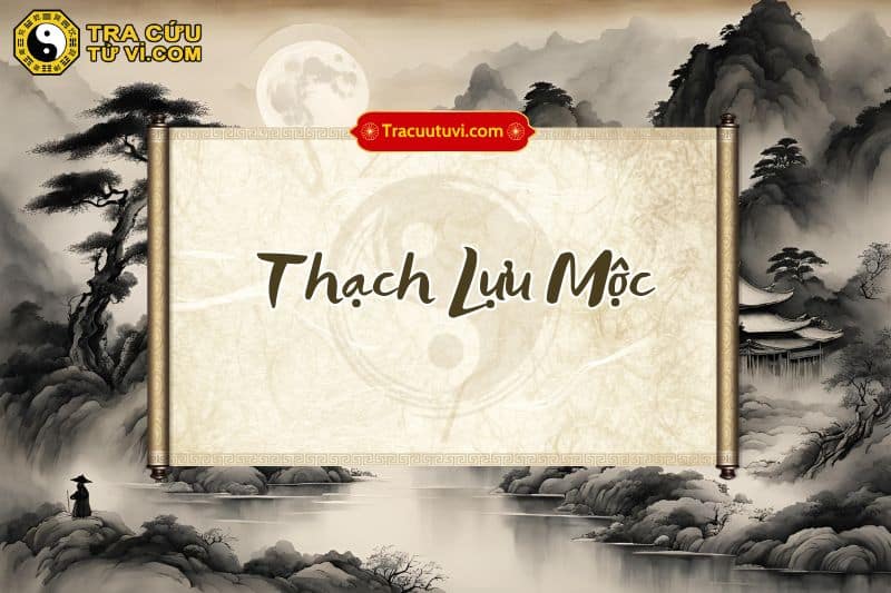 Đặc điểm của Người Mệnh Thạch Lựu Mộc Đặc điểm của Người Mệnh Thạch Lựu Mộc