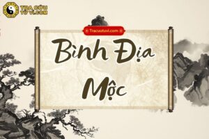 Bình Địa Mộc là gì? Ý nghĩa và đặc điểm của bản mệnh