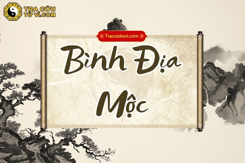 Bình Địa Mộc là gì? Ý nghĩa và đặc điểm của bản mệnh