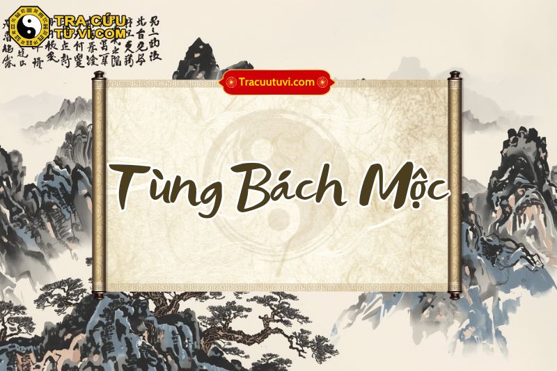 Tùng Bách Mộc là gì? Ý nghĩa và đặc điểm của bản mệnh
