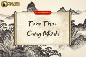 Tam Thai cung Mệnh là gì? Luận giải ý nghĩa khi kết hợp các sao trong tử vi